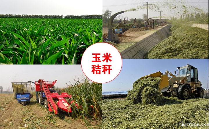 原材料来源