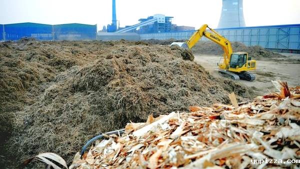 大城县生物质发电公司料场正在垛料操作