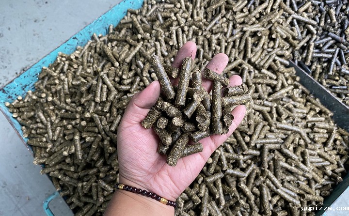 菌棒生物质颗粒