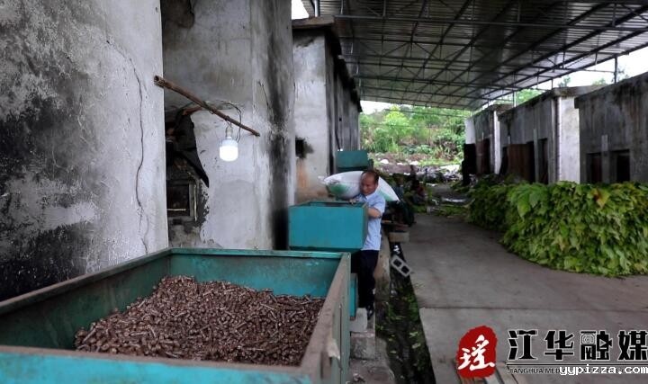 “绿色烘烤”助力烟农提质增收