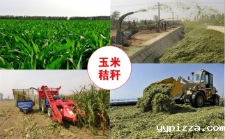 农作物秸秆颗粒机投资成本与收益分析