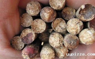 新型玉米秸秆粉碎机多少钱