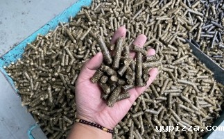 颗粒机制粒不成型，别担心，山东华体汇官网app入口木屑颗粒机厂家来帮您