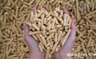 陕西宝塔区：推广锯末颗粒机生物质燃料清洁取暖 山体沟道居民温暖过冬