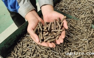 干货：木屑颗粒机出料短且颗粒松散的原因分析