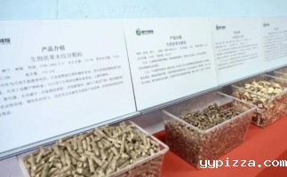 甘肃省静宁县仁大镇生物质废弃物综合利用项目建成投产